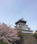 入社して1年が経ちました。 画像01